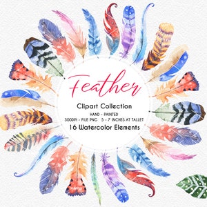 Feather Watercolor Clipart, Feather Set,Feather Decor, Digital Feathes,Feather Decor, Painted Feathers,Watercolor bird feathers PNG| WCFW_01