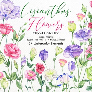 Watercolor Clipart Lisianthus flowers,Lisianthus Elements,Lisianthus flowers,Lisianthus Invitation, Wedding Lisianthus flowers| WCLI_01