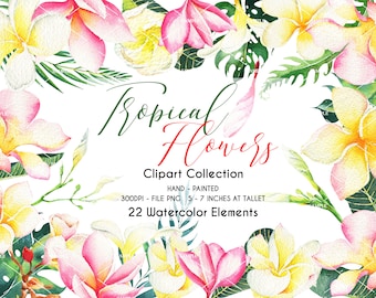 Plumeria flower Clipart,Tropical Clipart,Tropical Plumeria Watercolor Flowers & Leaves,Plumeria Floral,Plumeria Wedding| WCTR_6