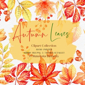 Watercolor Autumn Clipart, Watercolor Clipart, Fall Clipart, Autumn Clipart, Berries, Autumn leaves,Autumn foliage Watercolor,fall | WCAL_01