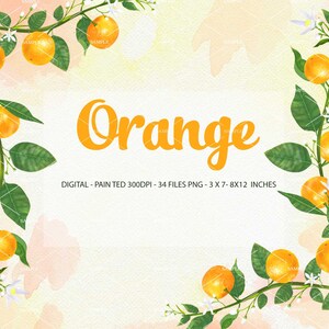 Orange Citrus Clipart, Mandarin Watercolor Clipart, Orange Fruit Illustration, Fruit Digital Paper, Watercolor Tangerine Fruit | PEOR_01