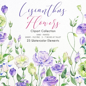 Watercolor Clipart Lisianthus flowers,Lisianthus Elements,Lisianthus flowers,Lisianthus Invitation, Wedding Lisianthus flowers| WCLI_03