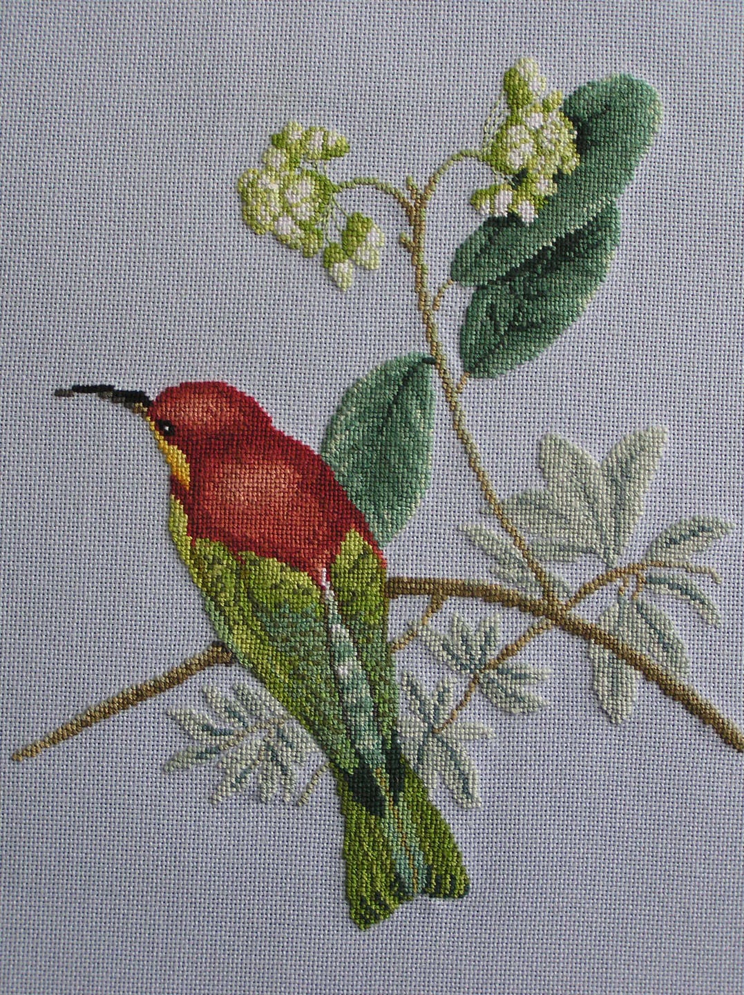 Broderie d'un Guêpier à Tête Brune Au Point de Croix