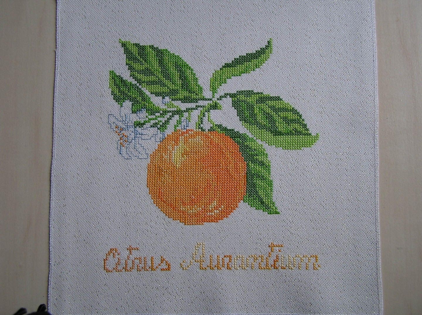 Broderie Orange et Fleur