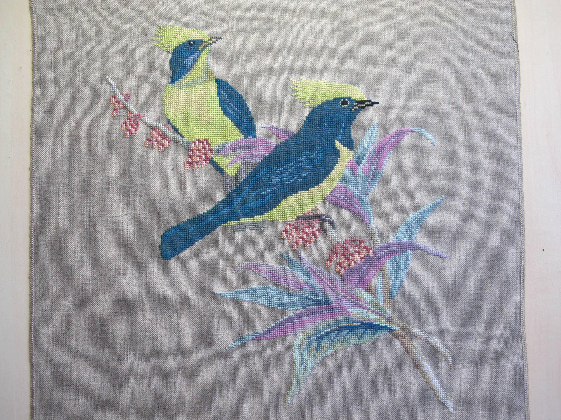 Broderie Mésanges Sultanes Au Point de Croix Compté