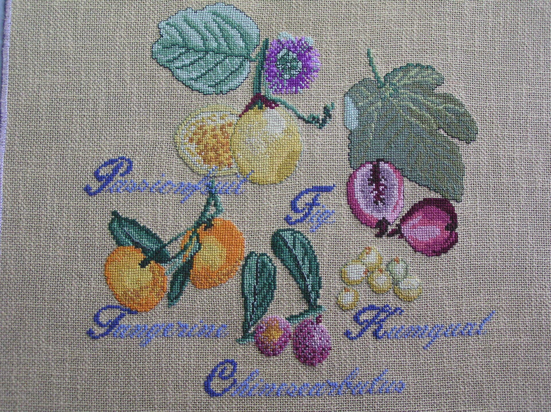 Broderie de Fruits Exotiques Au Point Croix