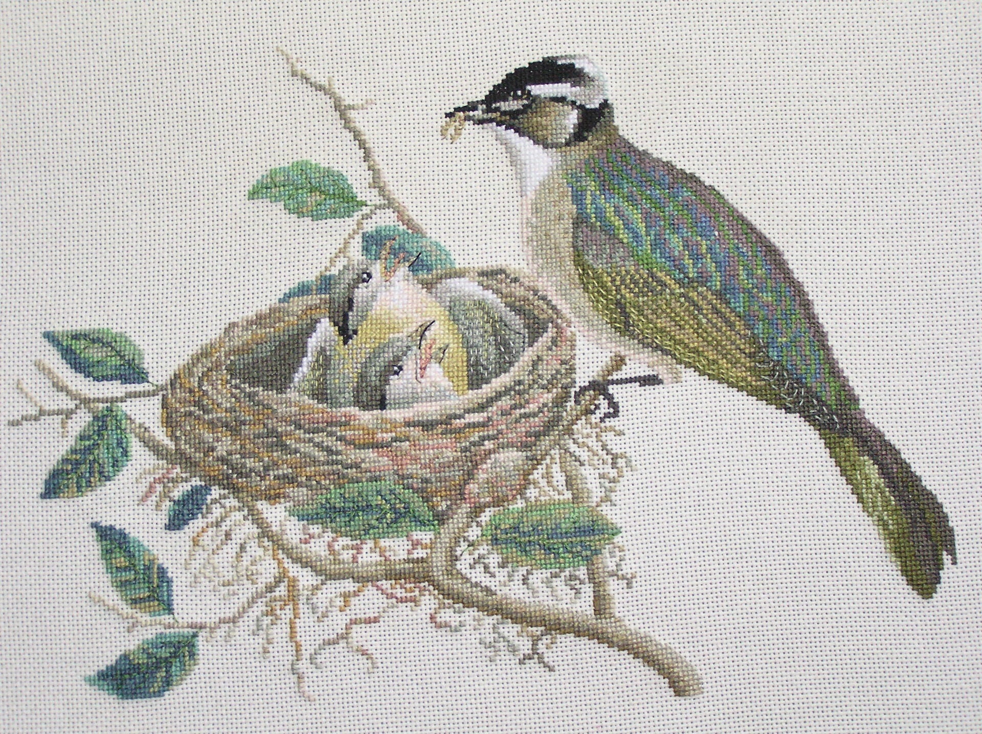 Broderie Bulbul de Chine Au Point Croix