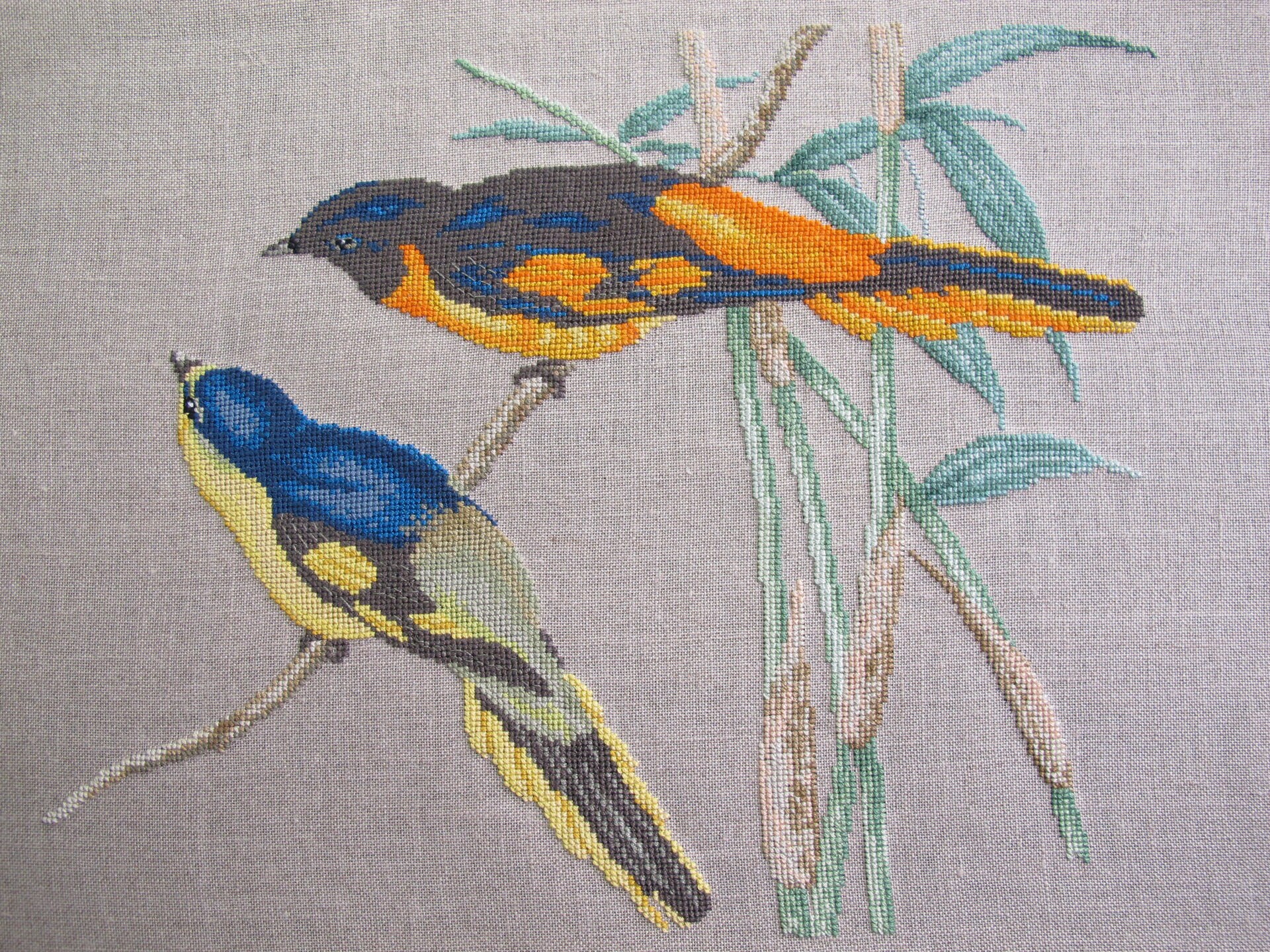 Broderie de Minivets Écarlates Au Point Croix