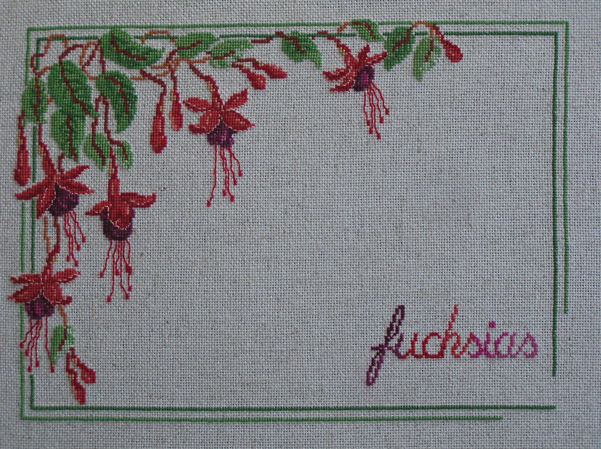 Broderie Fuchsias Au Point de Croix Victorien