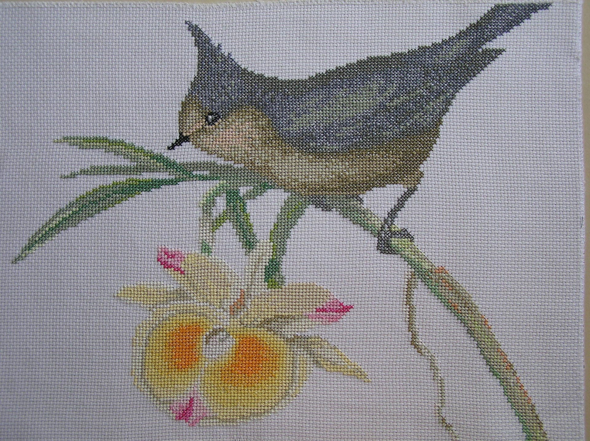 Broderie Oiseau et Orchidée Au Point de Croix