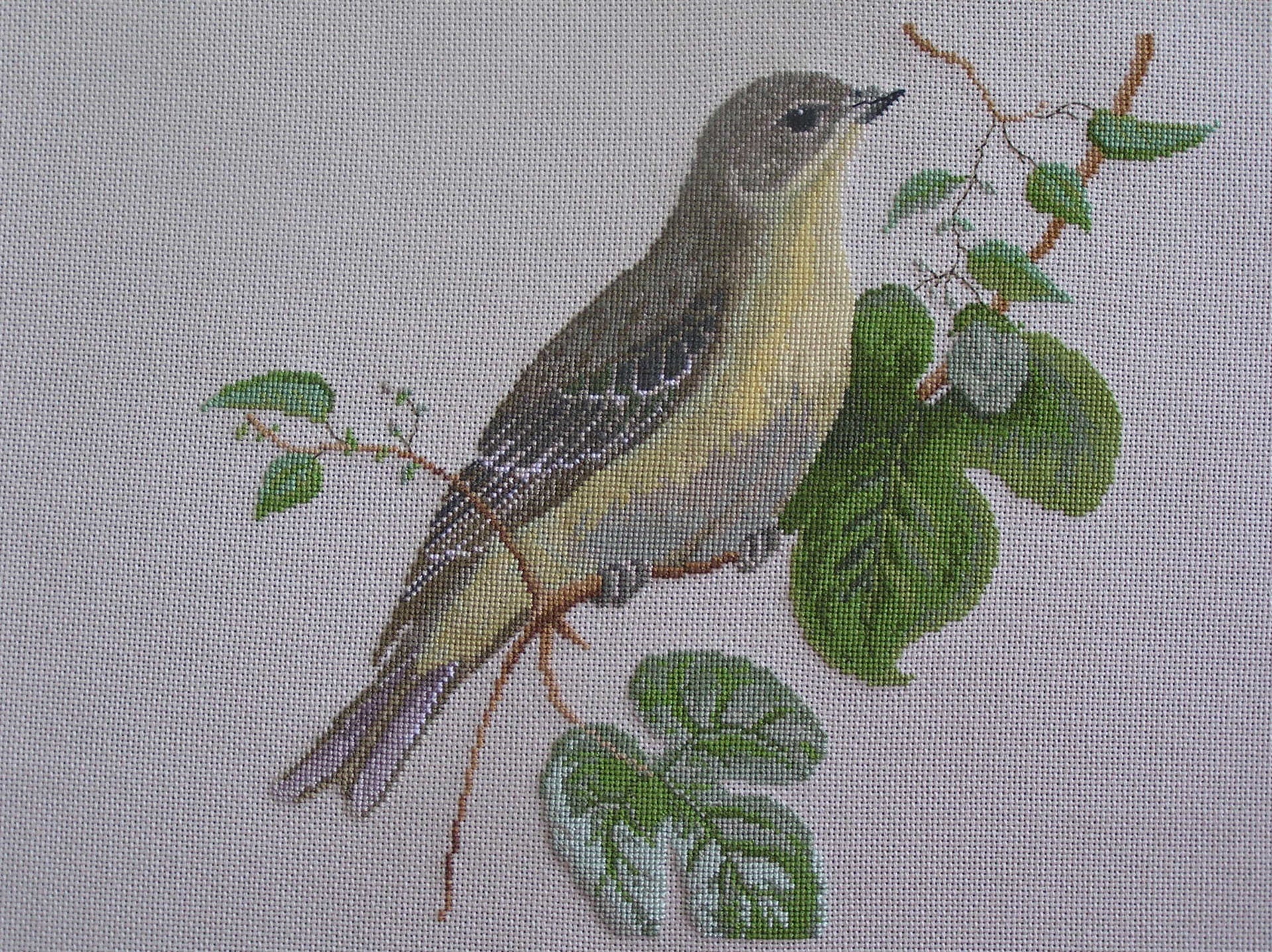 Broderie d'un Bruant à Tête Noire Au Point de Croix