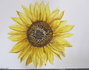 Realistic or sunflower botanical watercolor