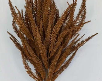 Fall brown lavender  bush, wispy filler for wreaths, Wreath filler floral, Bush for wreaths in fall brown