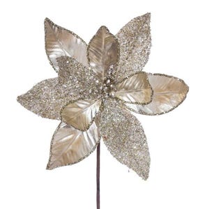 Champagne poinsettia, Floral for Christmas, Wreath florals, Christmas poinsettia, Christmas Tree florals, Champagne poinsettia for Christmas