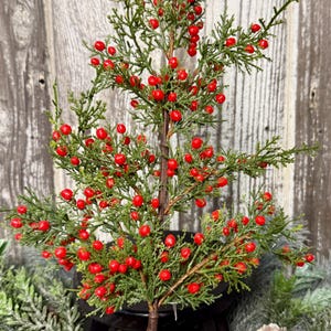 May include: A decorative artificial cedar branch featuring numerous small, bright red berries distributed throughout the green, needle-like foliage. The branch has a brown, textured stem that extends downward, supporting the dense, branching structure.