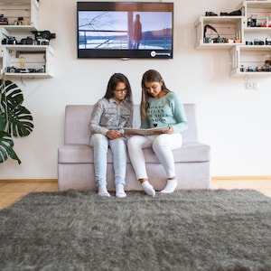 May include: Two people sitting on a light gray couch, looking at a book. The couch is in a room with a light gray rug, a large potted plant, and a TV on the wall.