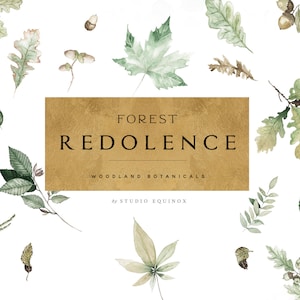 Forest Redolence Acquerello Foglie Clipart, Singoli Elementi, Acquerello Fogliame Bouquet, Acero, Foglia di Quercia, Botanica boschiva