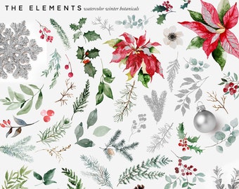 Watercolor Christmas Clipart – Winter Botanical Elements (PNG)