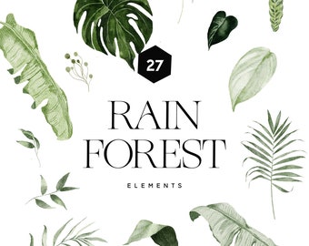 May include: A set of 27 watercolor illustrations of rainforest leaves and plants. The illustrations are in shades of green and feature various types of leaves, including palm leaves, banana leaves, and monstera leaves.