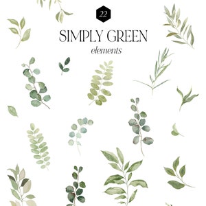 Aquarel groen elementen, groen clipart, botanische individuele elementen, gebladerte clipart, bruiloft clipart, zomer groen, digitaal