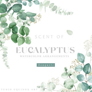 Watercolor Greenery Eucalyptus Clipart, Eucalyptus Bouquet, Greenery Clipart, Watercolor Eucalyptus Clipart, Green Foliage, Green Leaves
