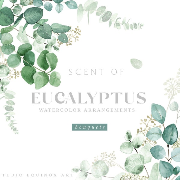 Aquarelle Verdure Eucalyptus Clipart, Bouquet d’eucalyptus, Clipart de verdure, Aquarelle Eucalyptus Clipart, Feuillage vert, Feuilles vertes