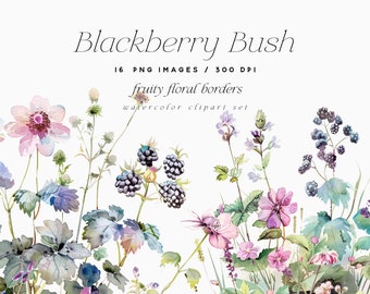 Watercolor Blackberry Floral Borders Clipart (PNG Digital Download)
