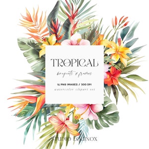 Aquarelles de fleurs tropicales, clipart floral, verdure tropicale, bouquets de fleurs tropicales, cadres floraux tropicaux, clipart mariage