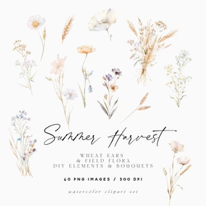 Clipart floreale ad acquerello, bouquet di spighe di grano, elementi di fiori di campo, raccolto, flora di campi di grano, clipart di matrimonio, elementi floreali fai da te