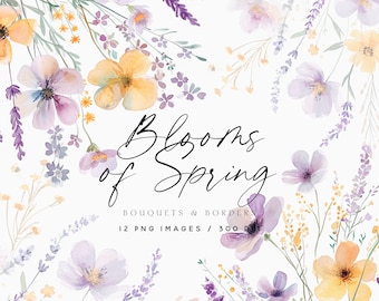 May include: Watercolor clipart set featuring bouquets and borders of purple and yellow flowers. The set includes 12 PNG images at 300 DPI. The text "Blooms of Spring" is written in cursive.