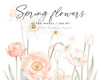 Watercolor Spring Flower Borders Clipart, Tulips, Daffodils (Digital Download)