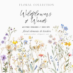 Clipart Floral Aquarela, Elementos Florais Selvagens, Bordas de Flores Selvagens, Flores Selvagens de Verão, Flores Selvagens de Prado, Clipart de Casamento