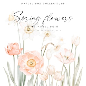 Aquarelle florale bordures des cliparts, bordures de fleurs de printemps, bordures de tulipes et de jonquilles, des cliparts mariage, des cliparts fleur Blush, Narcisse