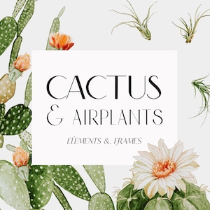 Colección de imágenes prediseñadas de plantas de cactus y aire, cactus de acuarela, planta de aire de acuarela, cactus en flor, marco de cactus de acuarela, marcos tropicales