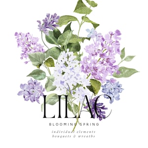 Clipart floral aquarelle lilas, lilas violet, fleurs de printemps, aquarelle Clipart, clipart lilas, aquarelle lilas blanc, bouquets, couronnes