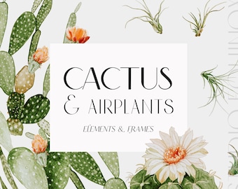 Cactus and Air plants Clipart Collection, Watercolor Cactus, Watercolor Airplant, Blooming Cactus, Watercolor Cactus Frame, Tropical Frames