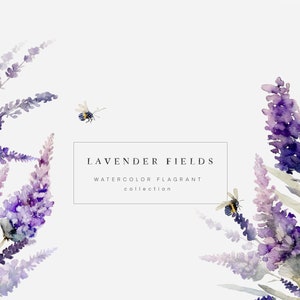 Clipart aquarelle florale - Clipart fleurs de lavande - Fleurs violettes - Bouquets de lavande - Couronnes de lavande et cadres - Clipart de printemps