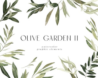 Watercolor Olive Branch Clipart, Mediterranean Wreath Bouquet (PNG Files)