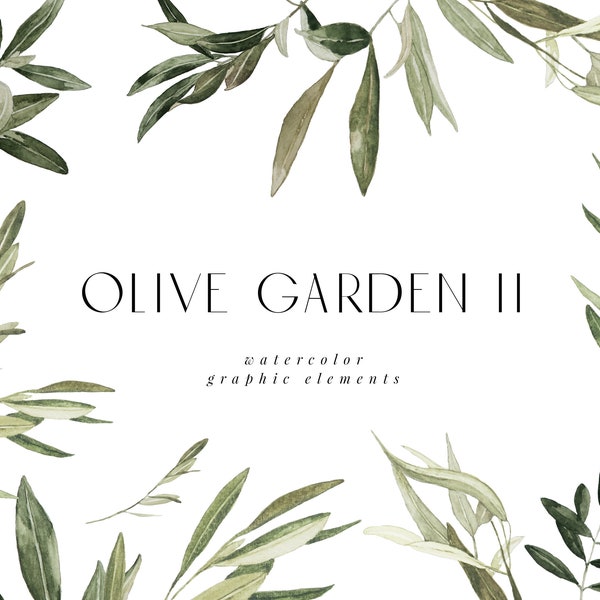 Olive Garden II  Watercolor Graphic Elements, Olive Branch Clipart, Olive Leaf Clipart, Watercolor Olive Wreath, Watercolor Olive Bouquet