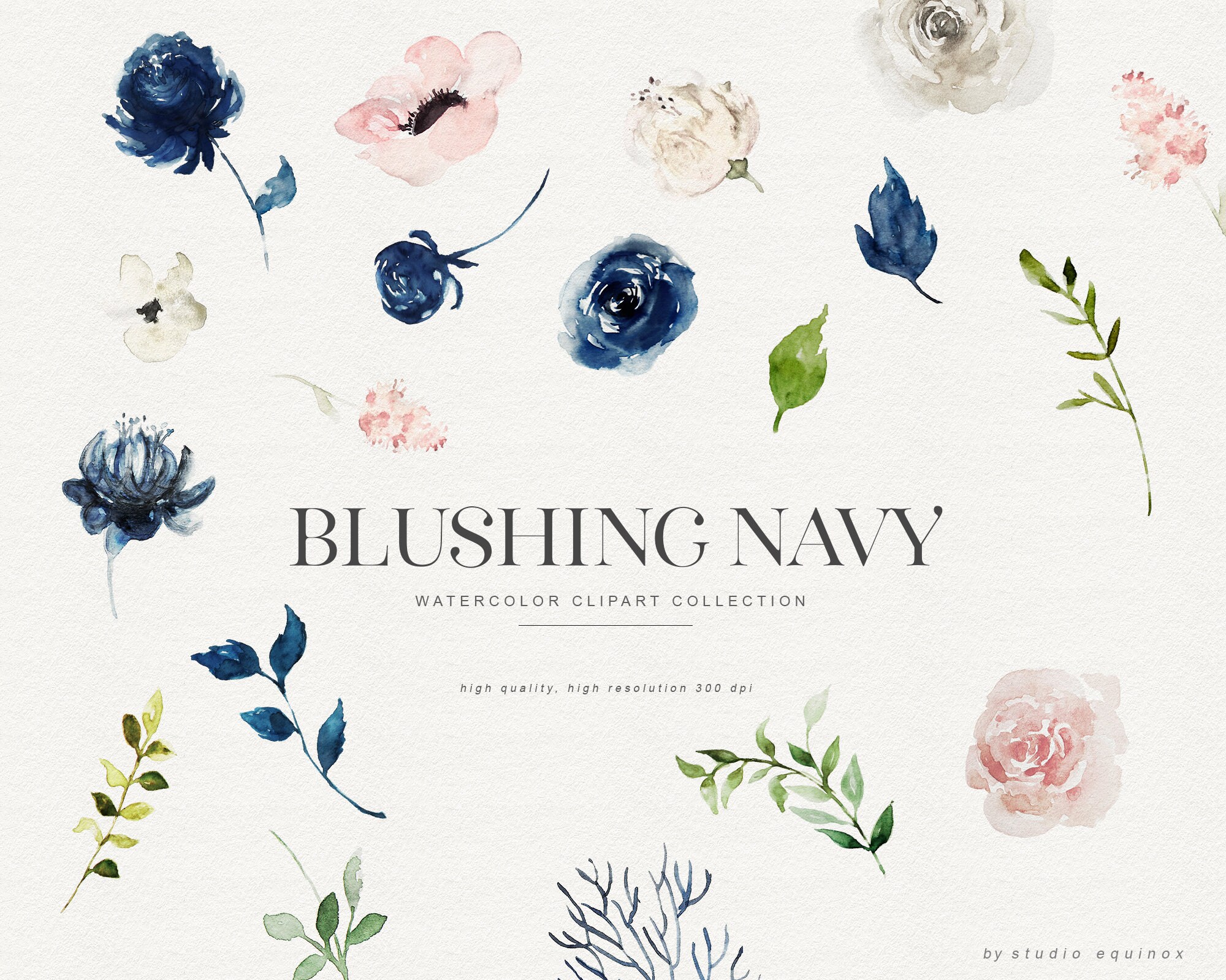 Blush & Navy Watercolor Floral Clipart Set (PNG) - Etsy