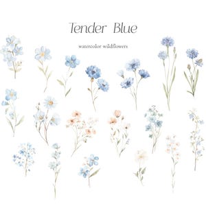 May include: Watercolor illustration of various wildflowers in shades of blue, peach, and white. The image includes the text "Tender Blue" and "watercolor wildflowers". The flowers are depicted with delicate brushstrokes and are arranged on a white background.