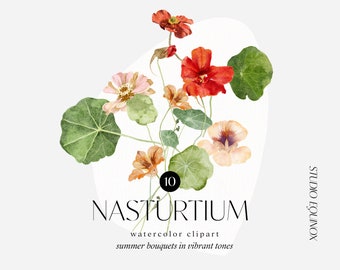 Watercolor Nasturtium Bouquets Clipart, Summer Floral Bouquet, Summer Flowers, Botanical Clipart, Watercolor Blush Dahlia, Garden Flowers