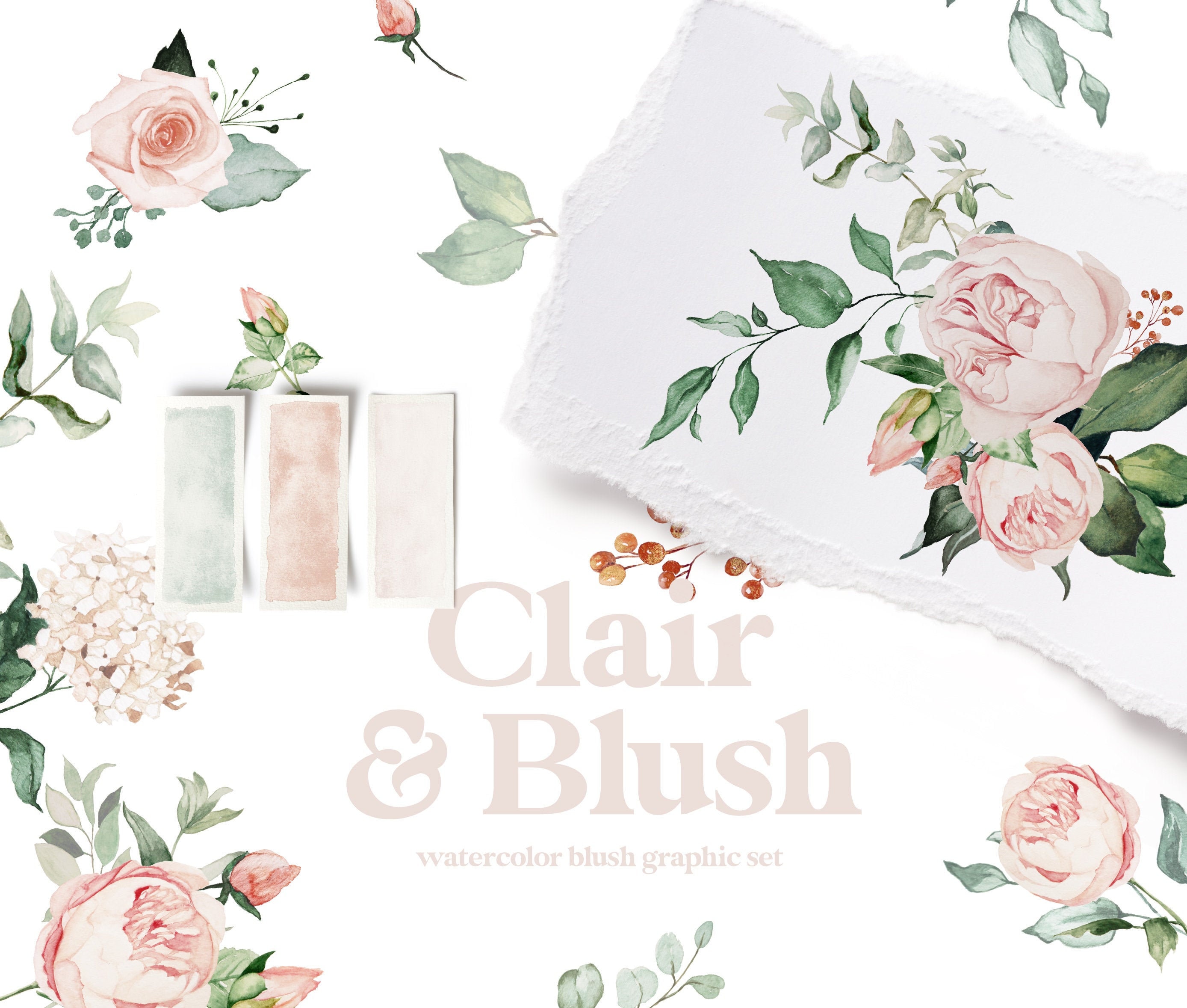 Clair & Blush Watercolor Blush Graphic Set, Summer Floral Clipart, Blush Hydrangea, Watercolor Roses, Peonies, Blush Bouquet, Wreath, Frame