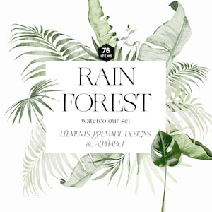 Aquarel groen clipart, tropisch groen, jungle bladeren, jungle krans clipart, groen boeket, aquarel tropisch alfabet