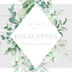 Watercolor Eucalyptus Graphic Set, Eucalyptus Wreaths, Bouquets, Frames, Graphic Elements, Eucalyptus Alphabet, Washes, Backgrounds