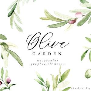 Watercolor Olive Branch Arrangement Easter Frame Greeting Card  Mediterranean Wedding Invitations Border Rustic Invites Elegant Logo PNG 