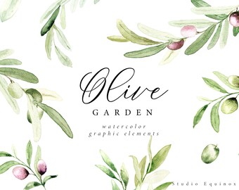 Clipart aquarelle de rameau d'olivier, éléments du jardin d'oliviers (PNG)