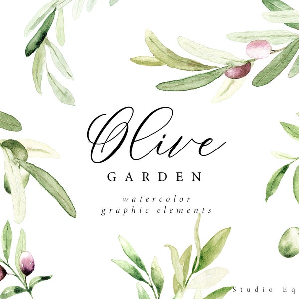 Elementos gráficos de acuarela de Olive Garden, imágenes prediseñadas de rama de olivo, aceituna de acuarela, imágenes prediseñadas de olivo, imágenes prediseñadas de flor de olivo, hoja de olivo de acuarela