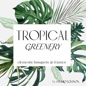 Vegetación tropical, imágenes prediseñadas de acuarela de selva, hojas tropicales, ramos de flores tropicales, imágenes prediseñadas de Monstera, hoja de palma de acuarela, selva de acuarela