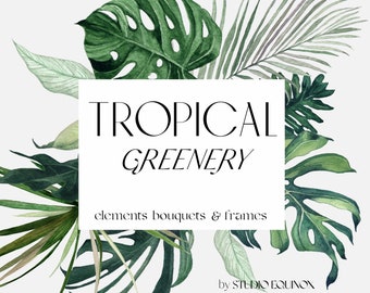 Tropical Greenery, Jungle Watercolor Clipart, Tropical Leaves, Tropical Bouquets, Monstera Clipart, Watercolor Palm Leaf, Watercolor Jungle